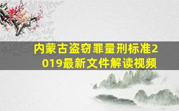 内蒙古盗窃罪量刑标准2019最新文件解读视频