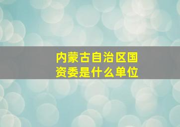 内蒙古自治区国资委是什么单位