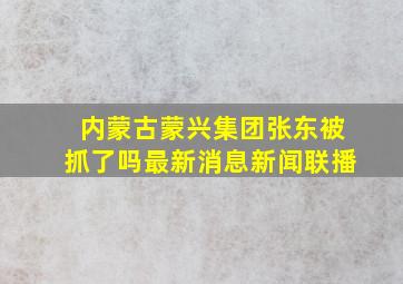 内蒙古蒙兴集团张东被抓了吗最新消息新闻联播