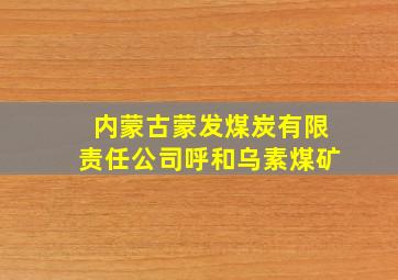 内蒙古蒙发煤炭有限责任公司呼和乌素煤矿