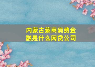 内蒙古蒙商消费金融是什么网贷公司