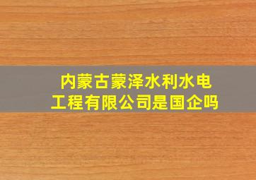 内蒙古蒙泽水利水电工程有限公司是国企吗