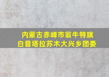 内蒙古赤峰市翁牛特旗白音塔拉苏木大兴乡团委