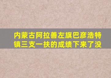 内蒙古阿拉善左旗巴彦浩特镇三支一扶的成绩下来了没