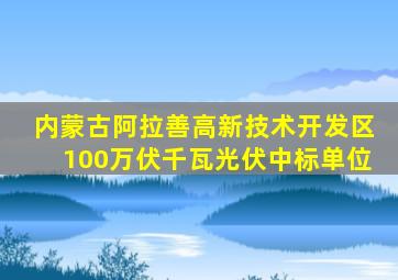 内蒙古阿拉善高新技术开发区100万伏千瓦光伏中标单位