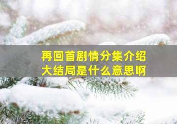 再回首剧情分集介绍大结局是什么意思啊