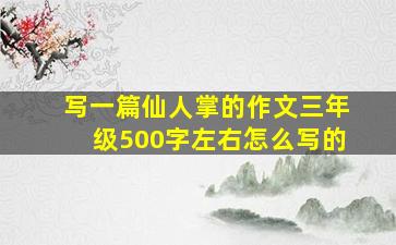 写一篇仙人掌的作文三年级500字左右怎么写的