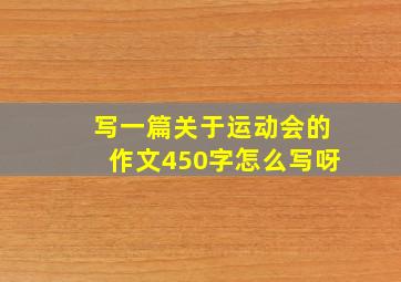 写一篇关于运动会的作文450字怎么写呀