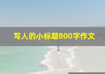 写人的小标题800字作文