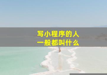 写小程序的人一般都叫什么