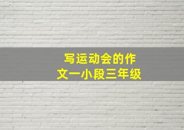 写运动会的作文一小段三年级