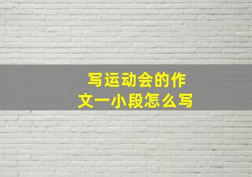 写运动会的作文一小段怎么写