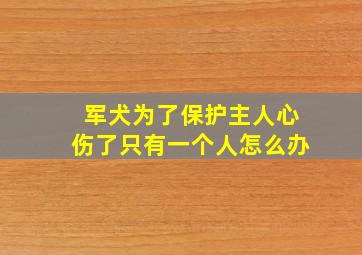 军犬为了保护主人心伤了只有一个人怎么办