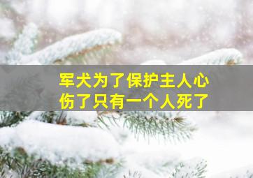 军犬为了保护主人心伤了只有一个人死了