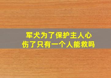 军犬为了保护主人心伤了只有一个人能救吗