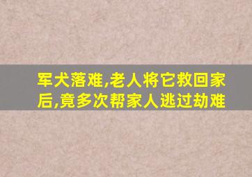 军犬落难,老人将它救回家后,竟多次帮家人逃过劫难