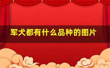 军犬都有什么品种的图片