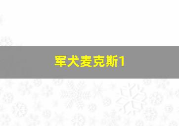 军犬麦克斯1