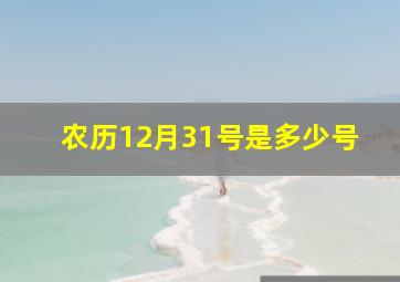 农历12月31号是多少号