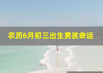 农历6月初三出生男孩命运