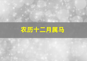 农历十二月属马