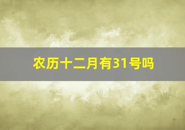 农历十二月有31号吗