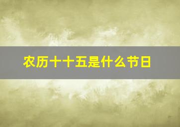 农历十十五是什么节日