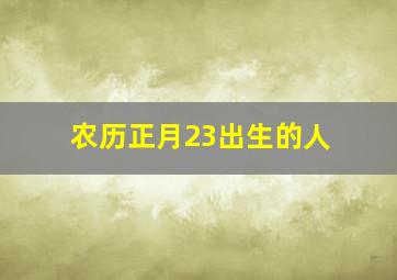 农历正月23出生的人