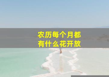 农历每个月都有什么花开放