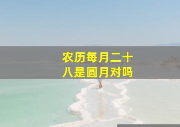 农历每月二十八是圆月对吗