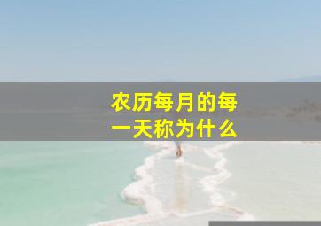 农历每月的每一天称为什么