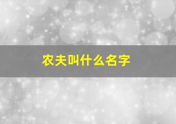 农夫叫什么名字