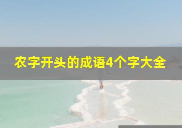 农字开头的成语4个字大全