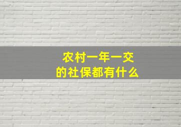 农村一年一交的社保都有什么