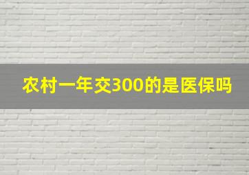 农村一年交300的是医保吗