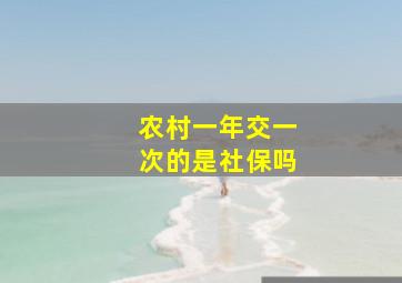 农村一年交一次的是社保吗