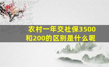 农村一年交社保3500和200的区别是什么呢