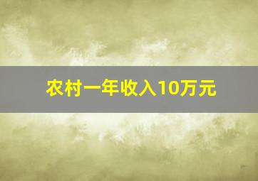 农村一年收入10万元