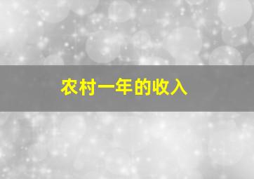 农村一年的收入