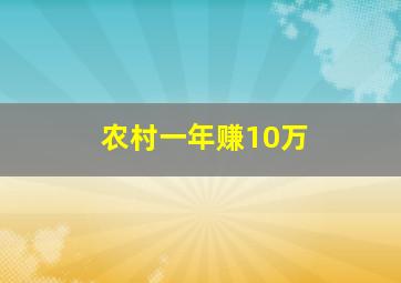 农村一年赚10万