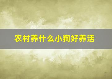 农村养什么小狗好养活