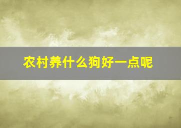 农村养什么狗好一点呢