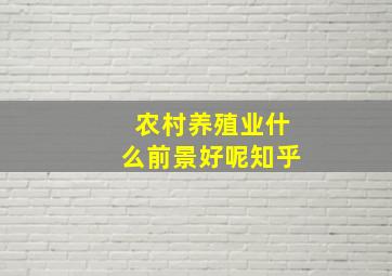 农村养殖业什么前景好呢知乎