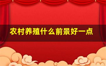 农村养殖什么前景好一点