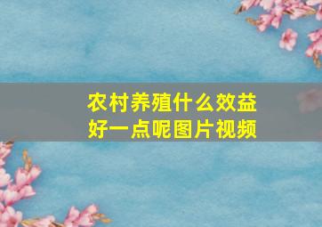 农村养殖什么效益好一点呢图片视频