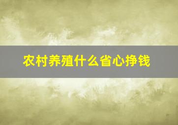 农村养殖什么省心挣钱