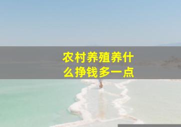 农村养殖养什么挣钱多一点