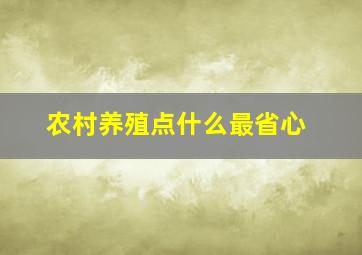 农村养殖点什么最省心