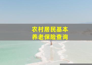 农村居民基本养老保险查询