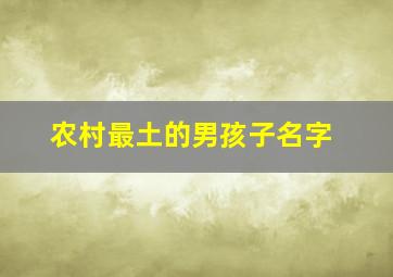 农村最土的男孩子名字